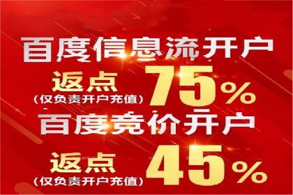 高效百度推广案例解析及优化策略